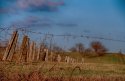 Barbedwire