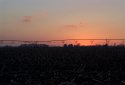 Michigan Farmland Sunrise
