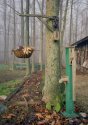 Scotty,s Shed