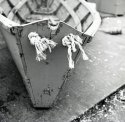 Dory's Stern