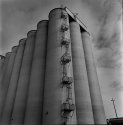 Abandoned Grain Elevator Silos