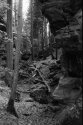 Teufelsschlucht, DE