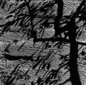 Tucana Shadows 1