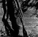 Tucana Shadows 2