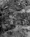 Petroglyphs