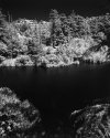 Franklin Canyon Lake