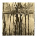 dancing trees #1