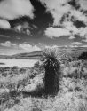 Sumapaz