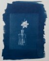 Cyanotype #4
