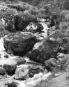 Mountain stream