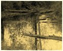 Great lith print.