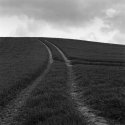 A Possibility To Escape
