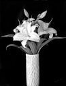 Neil's-Photography021