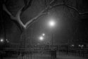 Tompkins Square Park