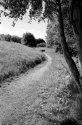Brentwood 06