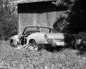 Abandoned