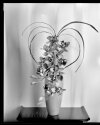 Neil's_Photography_June-06,-2017_Neil's-Photography026