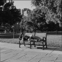 Man, Bench, GW Circle