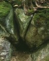 Rock