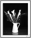 Neil's-Photography165-12-6-17
