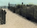 Keep off the dunes