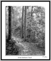 Neil's-Photography170