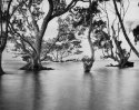 Nudgee Beach