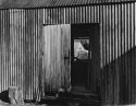 The house behind the shed.