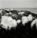 Rocky coast 3