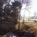 Rattlesnake Creek backwater 20111231