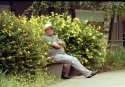 Floral Relaxation