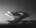 Cherub Cloud