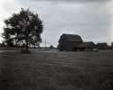 Barn faces tree