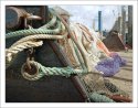 Ropes and fishing nets