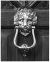 Brass Lion Door Knocker (experiment with Ilford Delta 3200)