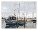 Fishing vessel UK264