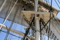Rigging