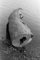 Log
