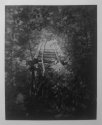 Whatcom Falls Park Trestle