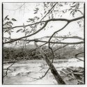 Town Forest, view of Moose River, St Johnsbury Vermont.