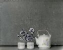 Teapot & Orchids