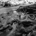Cedar Creek