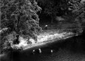 Untitled-1