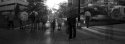Sunset, Street Crossing