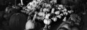 Pumpkins,Whole Foods