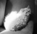 My Mr. B