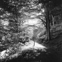 IMG_20170909_0011