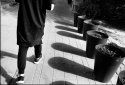 Shadows