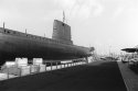 HMS Alliance (commissioned 1947)