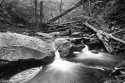 Kitchen Creek 2